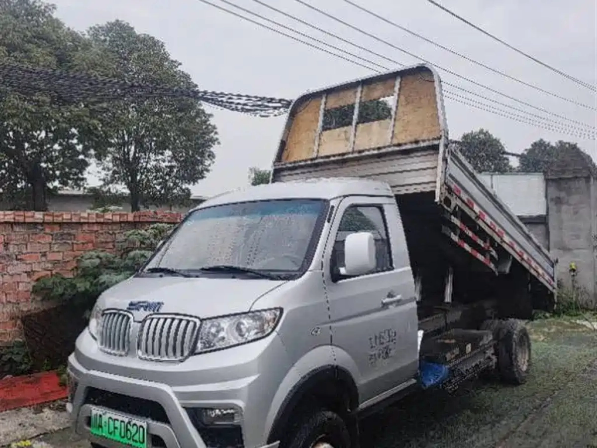 SHINERAY NEW ENERGY T50 EV  2023