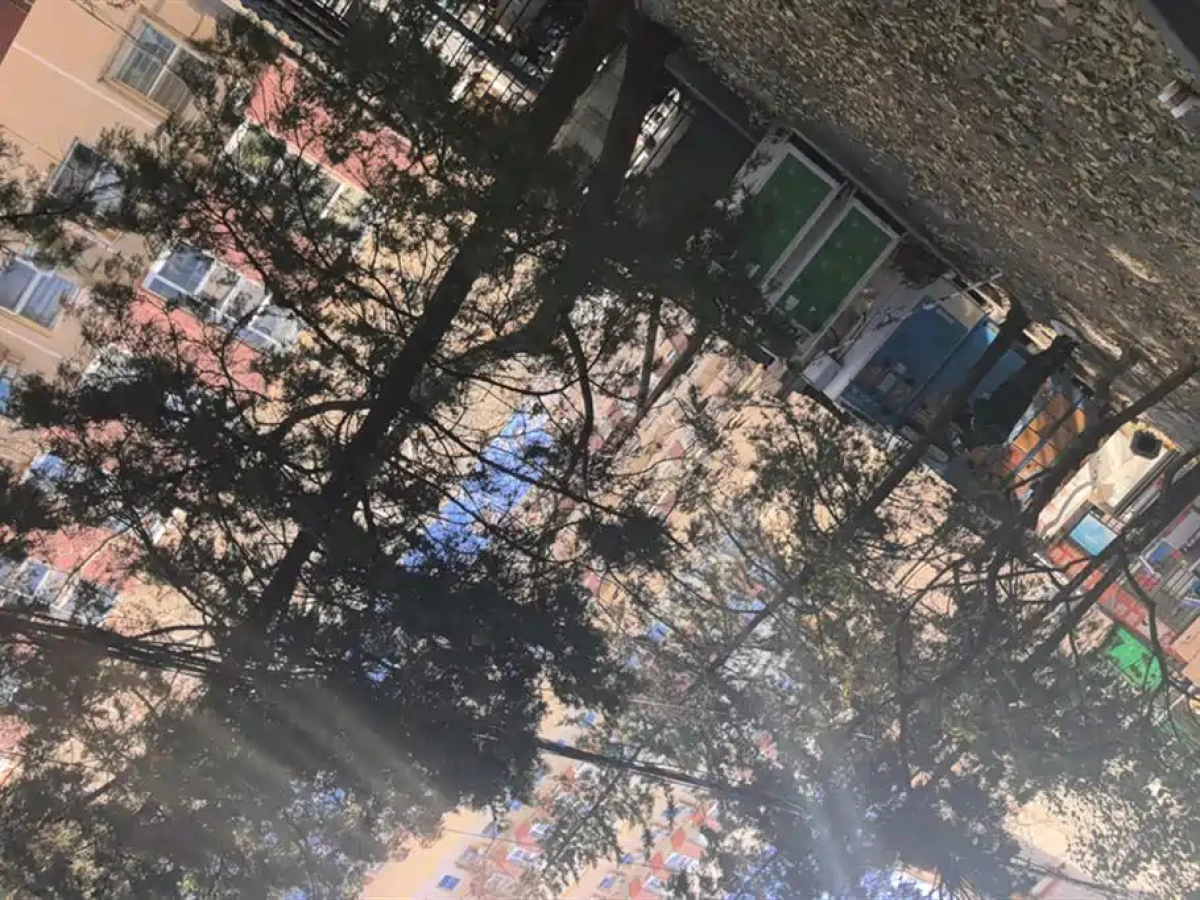 VOLVO XC40 NEW ENERGY