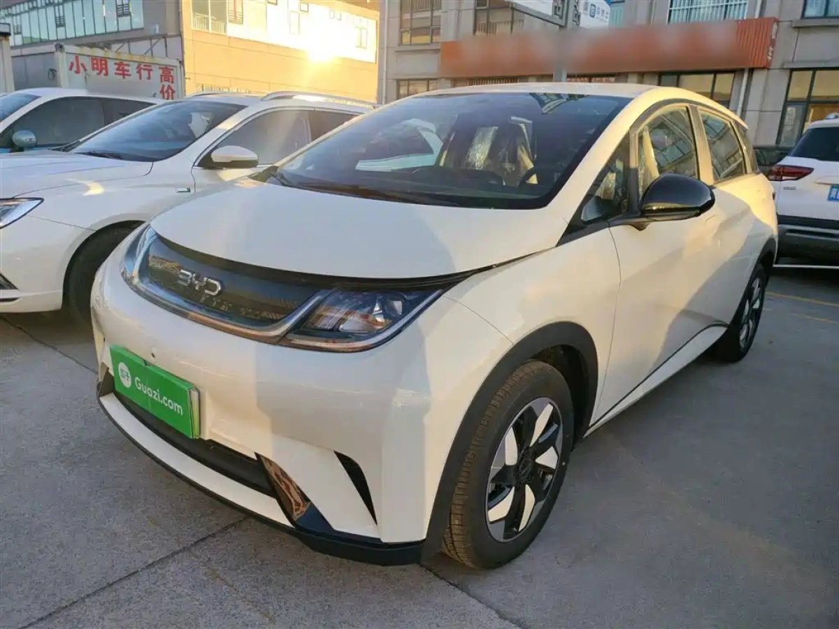 BYD DOLPHIN