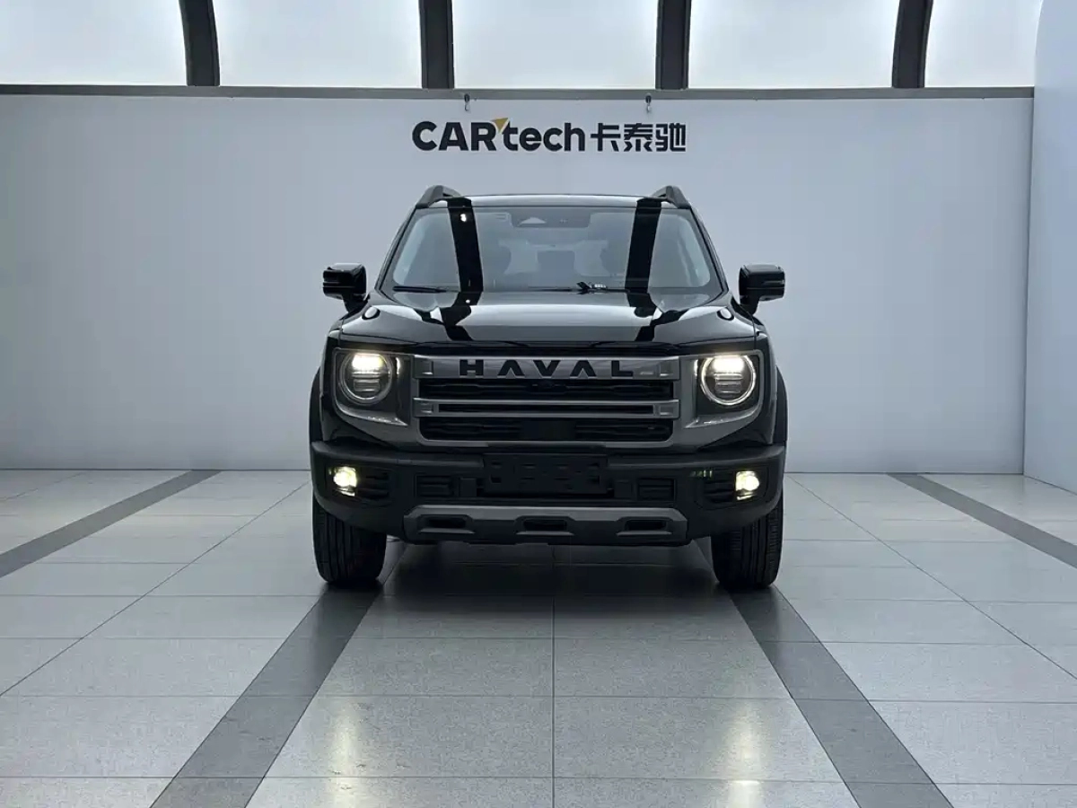 HAVAL BIG DOG
