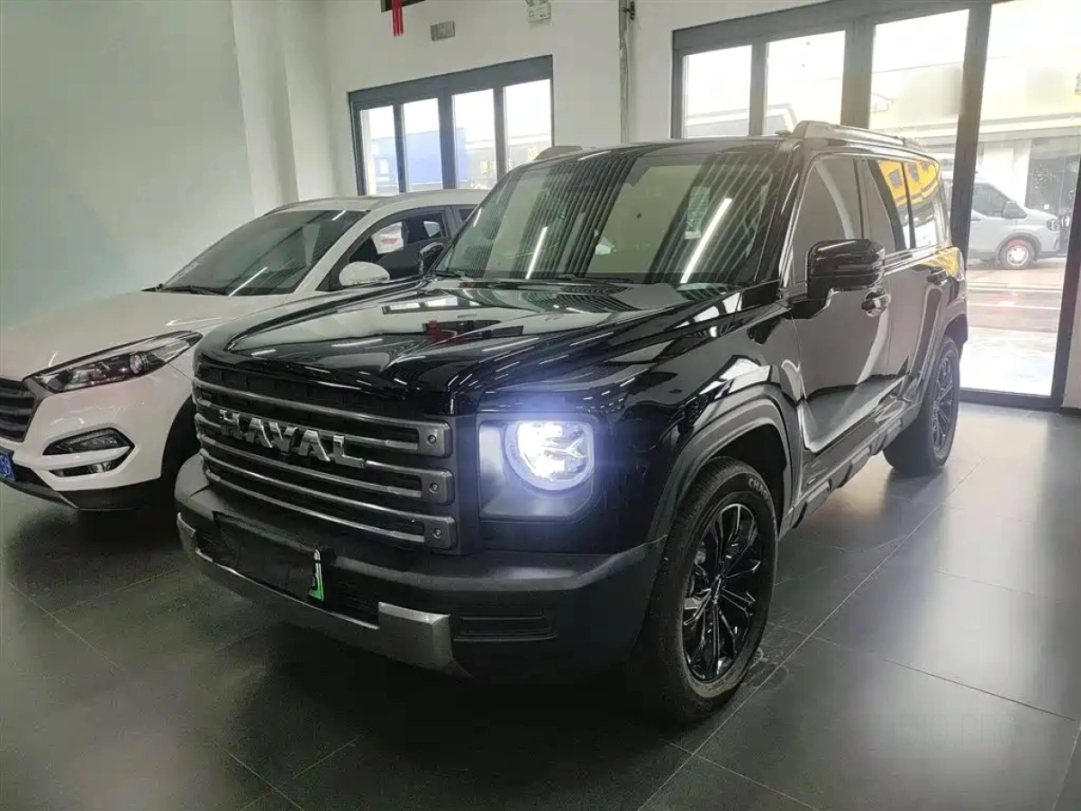 HAVAL RAPTOR NEW ENERGY  2024
