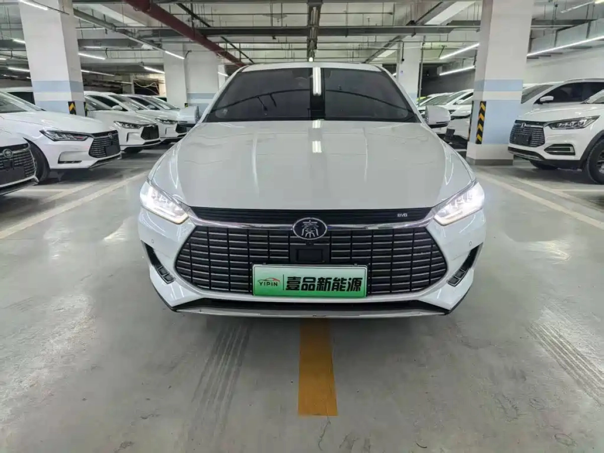 BYD QIN PRO NEW ENERGY