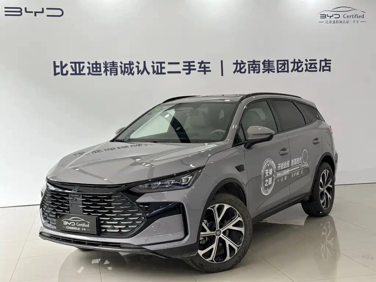 BYD TANG NEW ENERGY  2025