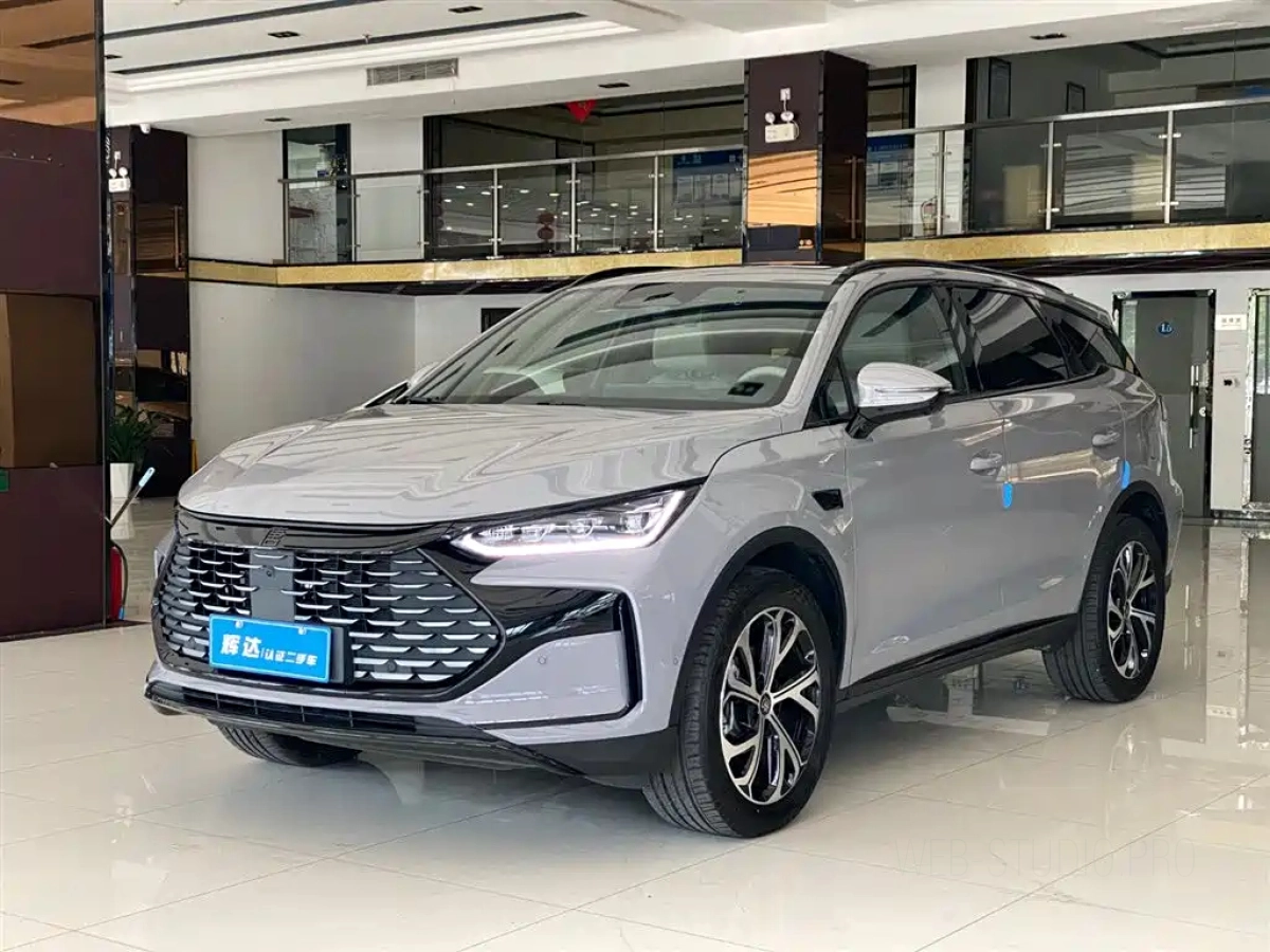 BYD TANG NEW ENERGY  2025