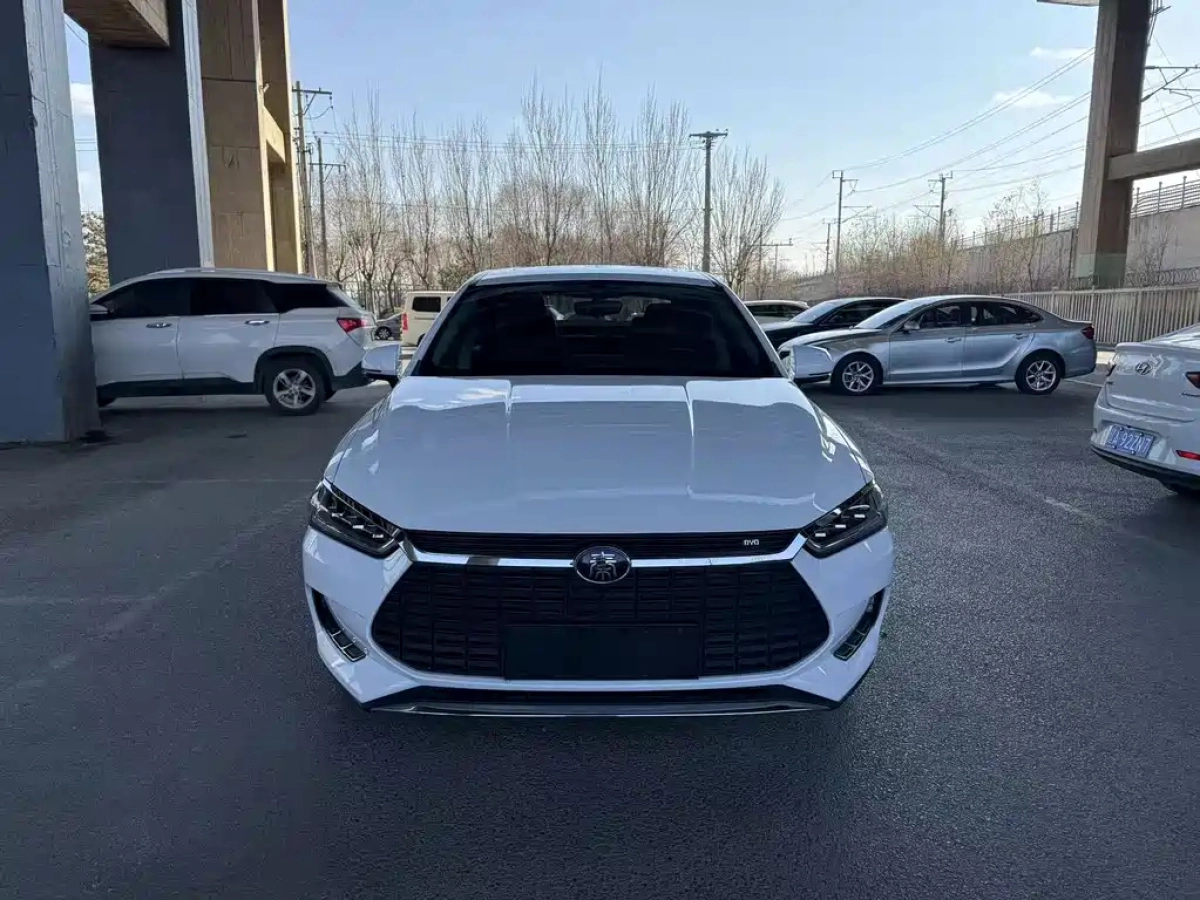 BYD QIN PRO NEW ENERGY
