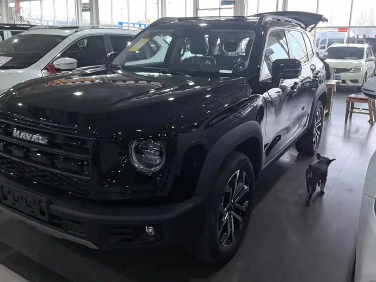 HAVAL BIG DOG