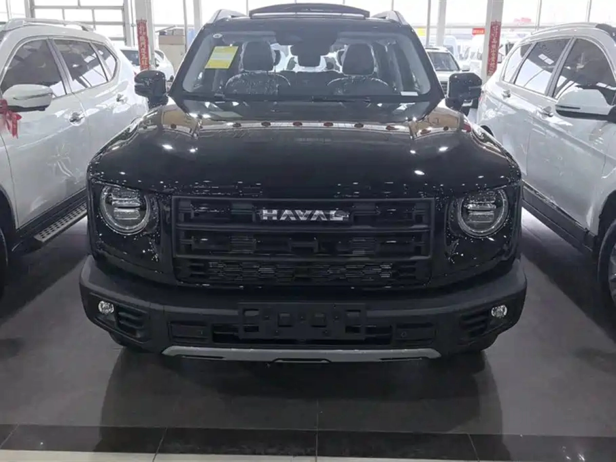 HAVAL BIG DOG