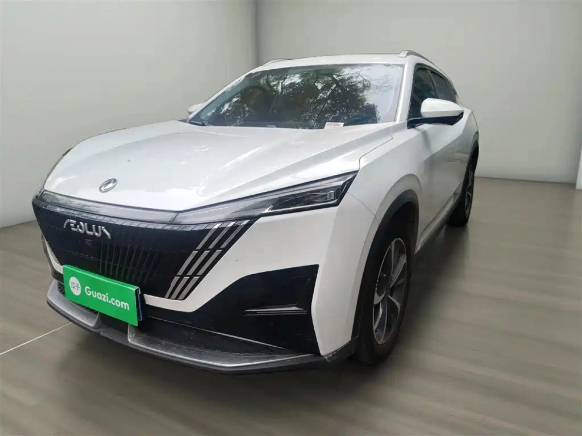 DONGFENG HAOHAN  2024