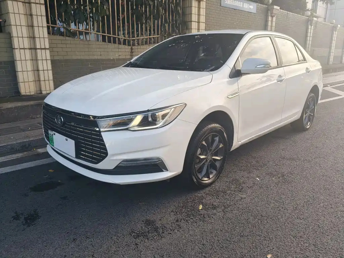BYD QIN NEW ENERGY  2022