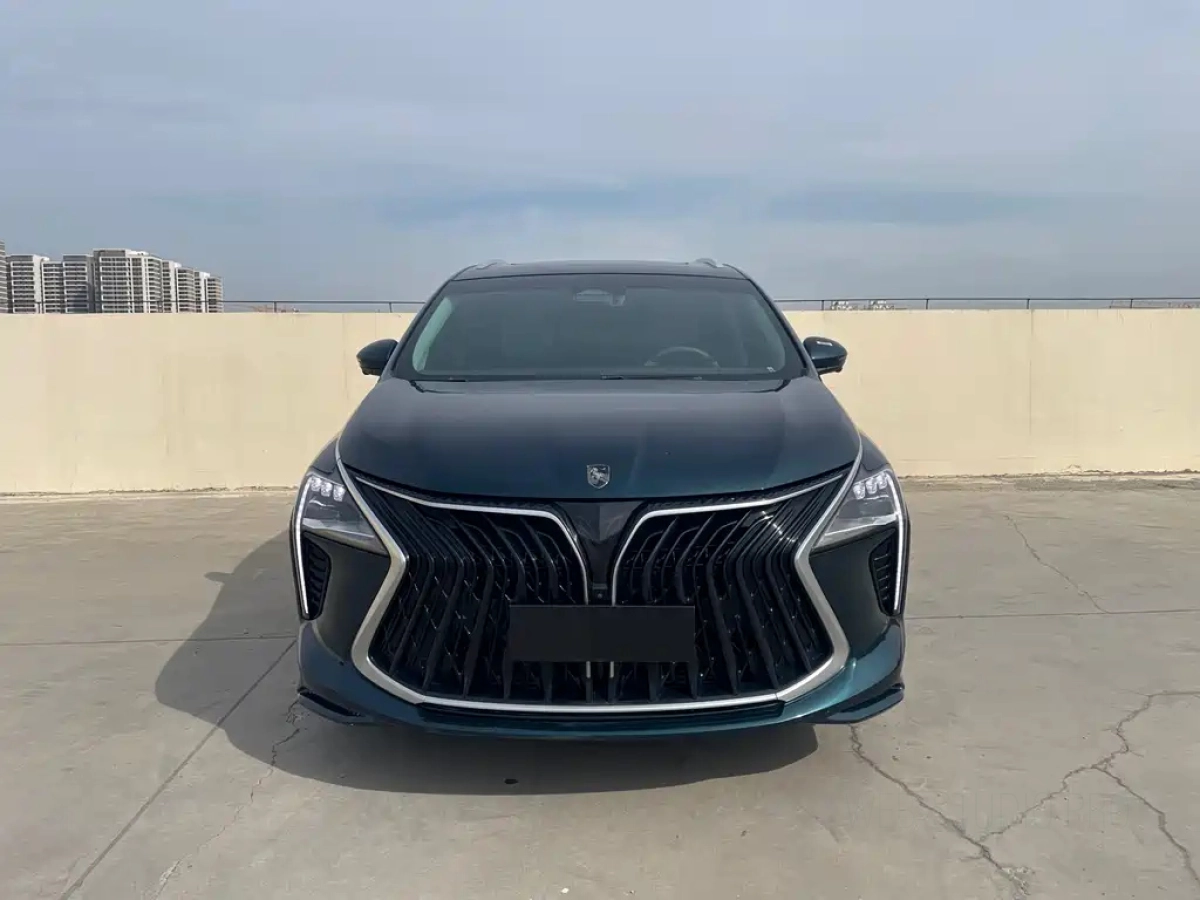 DONGFENG FORTHING 游艇