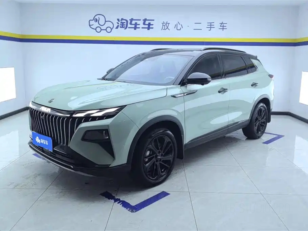 DONGFENG 皓极