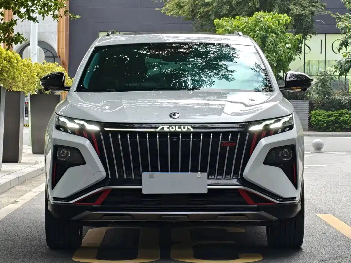DONGFENG 皓极