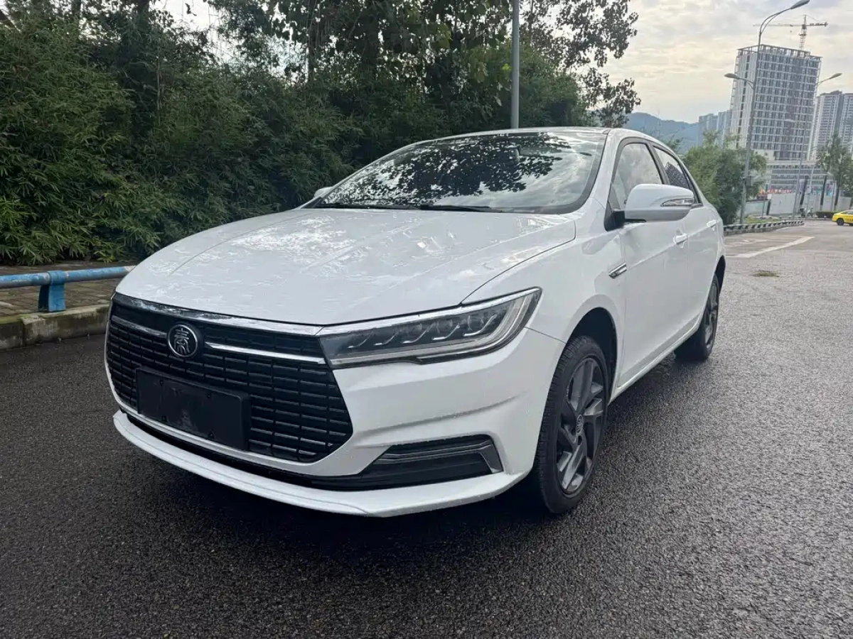 BYD QIN NEW ENERGY  2020