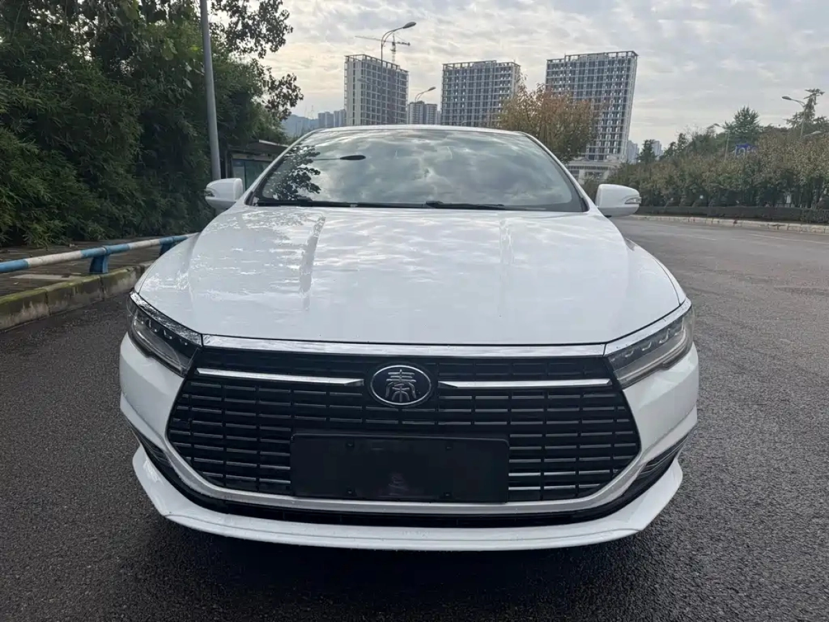 BYD QIN NEW ENERGY