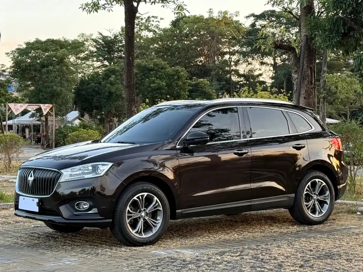 BORGWARD BX7  2019