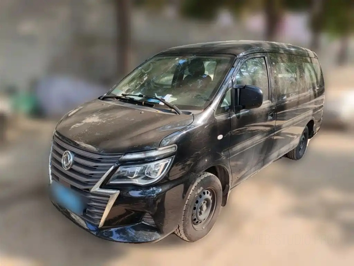 DONGFENG LINGZHI  2020