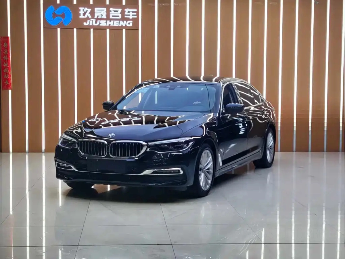 BMW 5-SERIES NEW ENERGY  2019