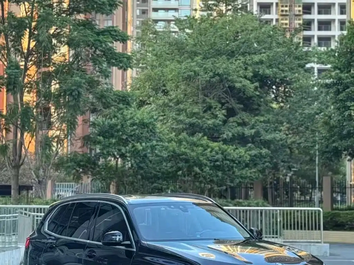 BMW X5 NEW ENERGY IMPORT