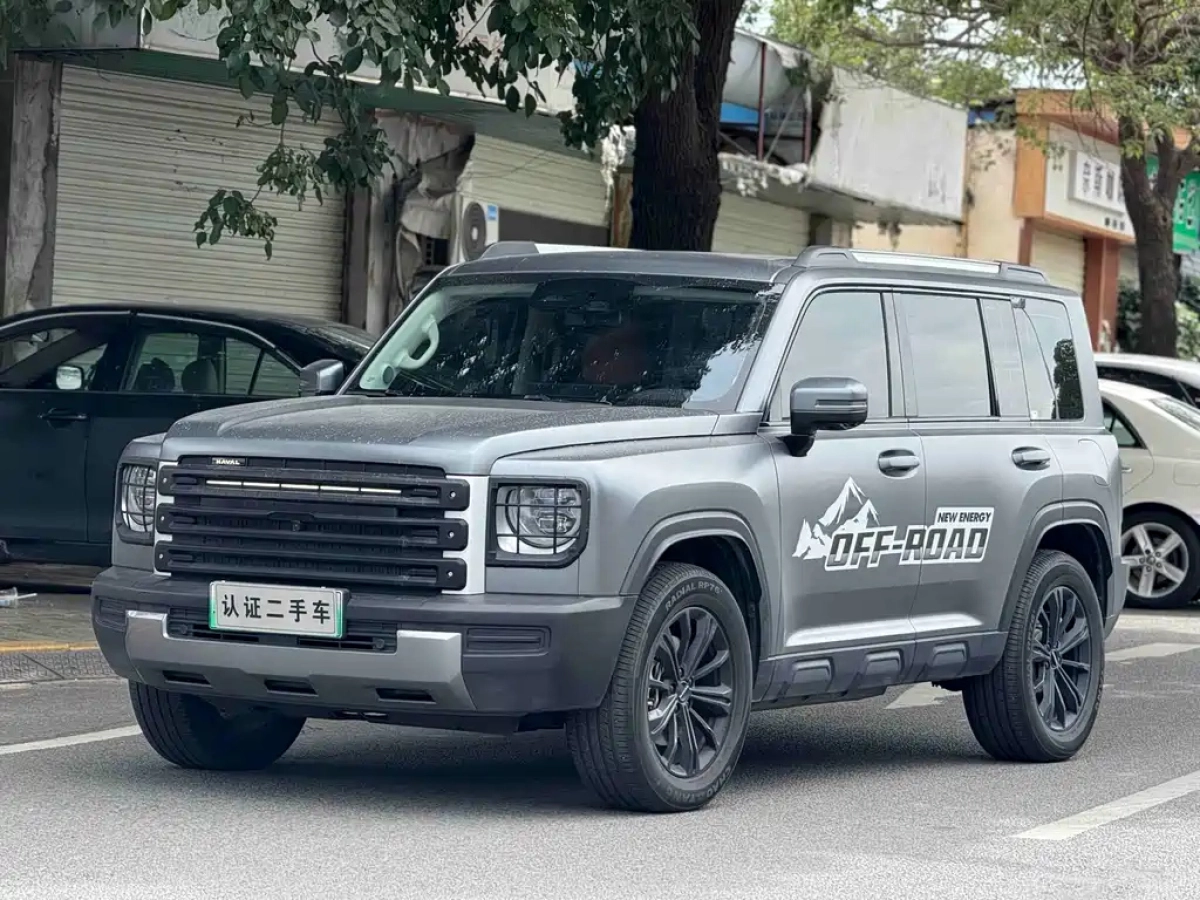 HAVAL RAPTOR NEW ENERGY  2024