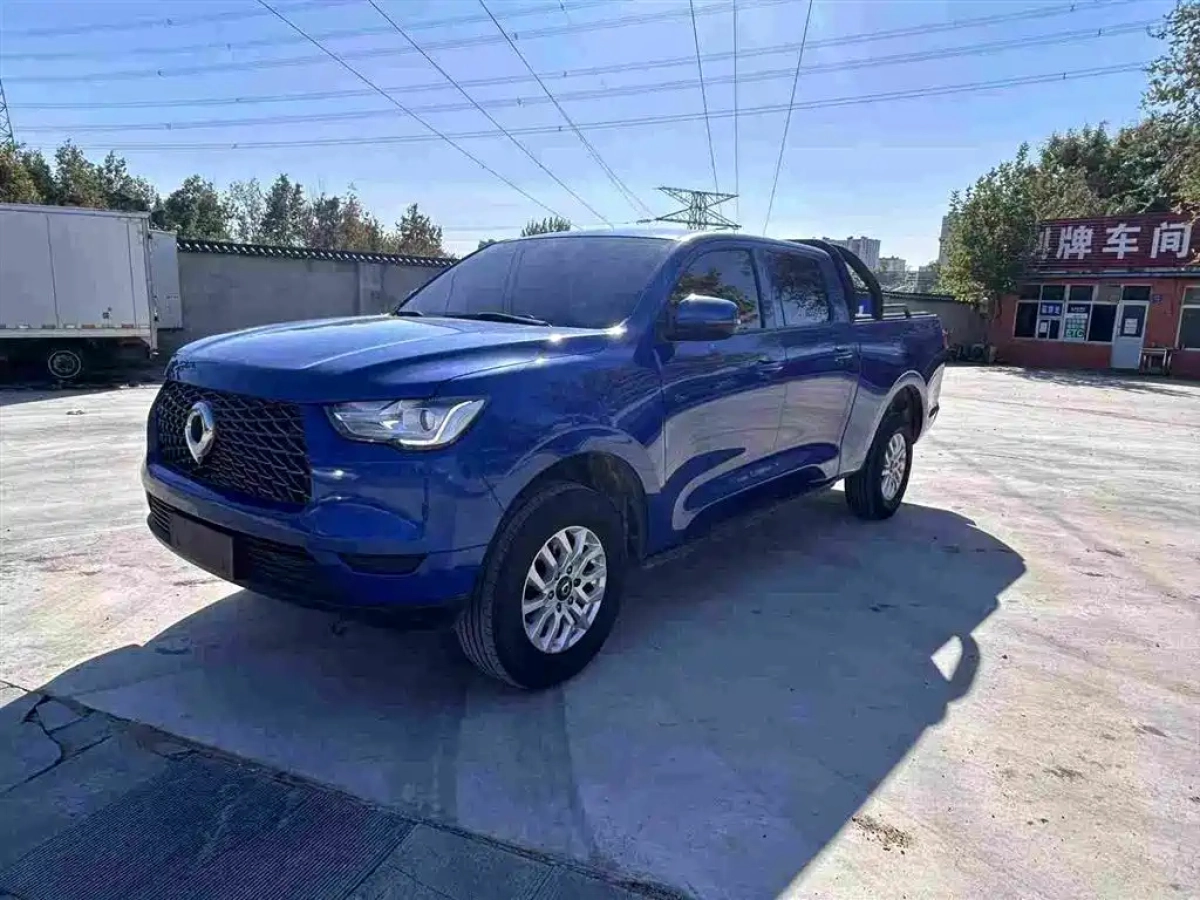 GREAT WALL POER  2020