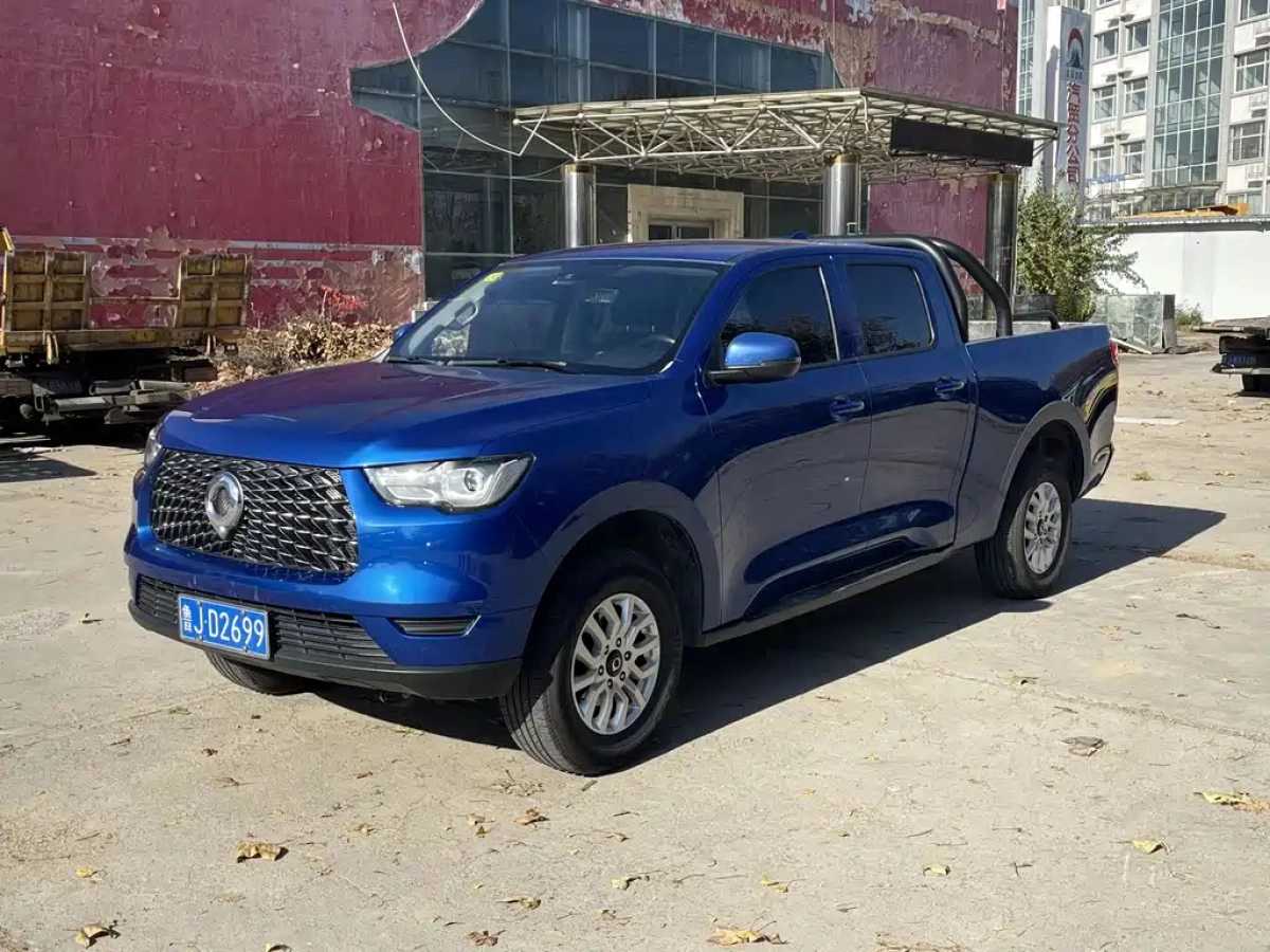 GREAT WALL POER  2020