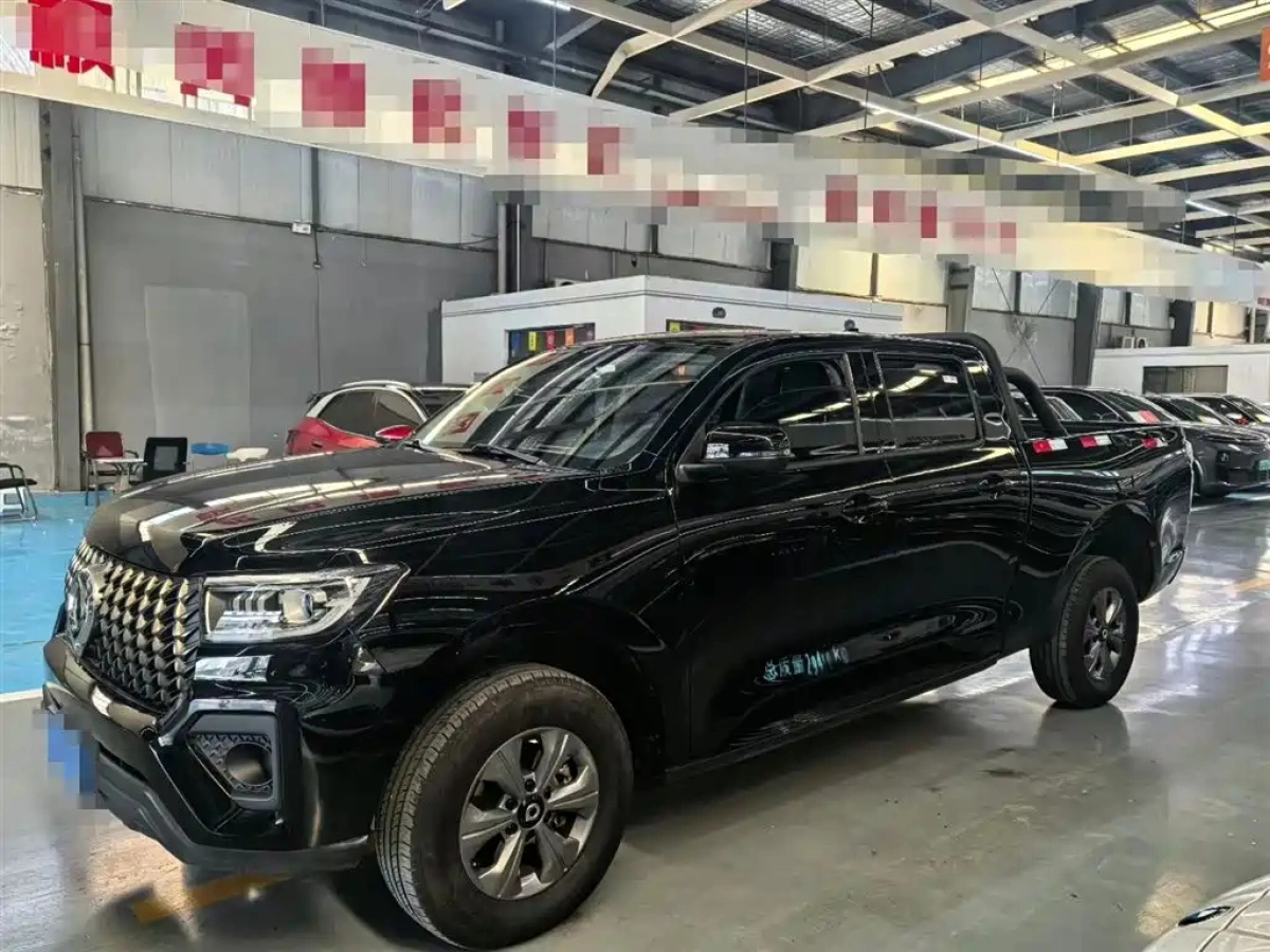 GREAT WALL POER  2024