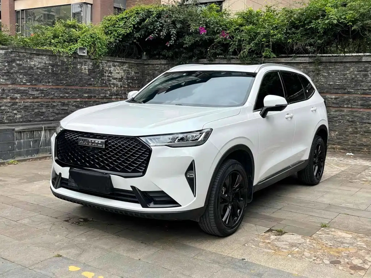HAVAL H6  2024