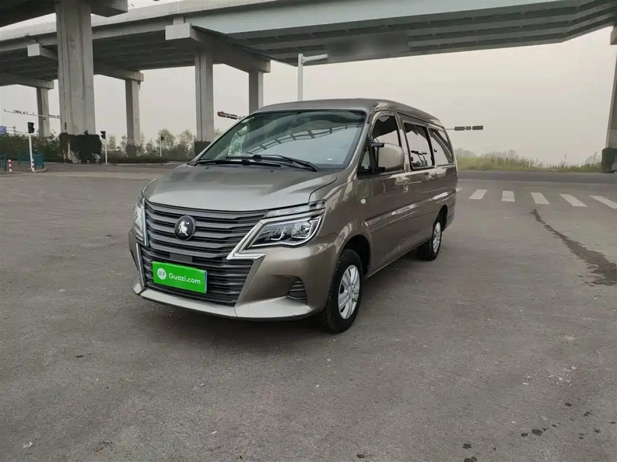 DONGFENG LINGZHI  2024