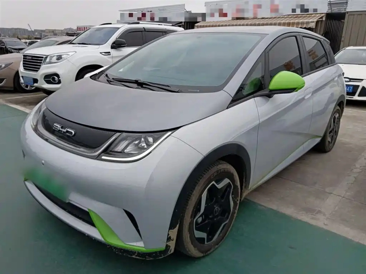 BYD DOLPHIN