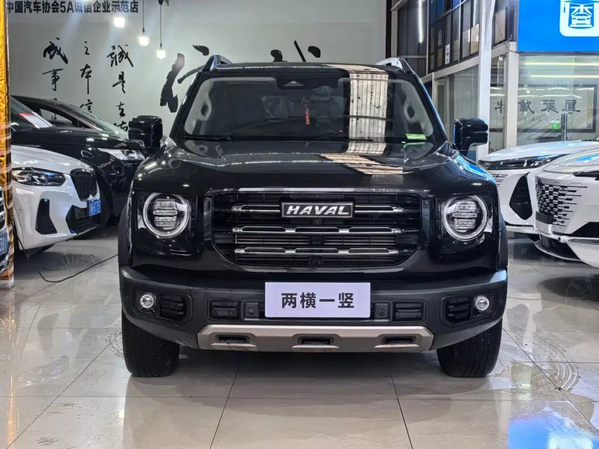HAVAL BIG DOG