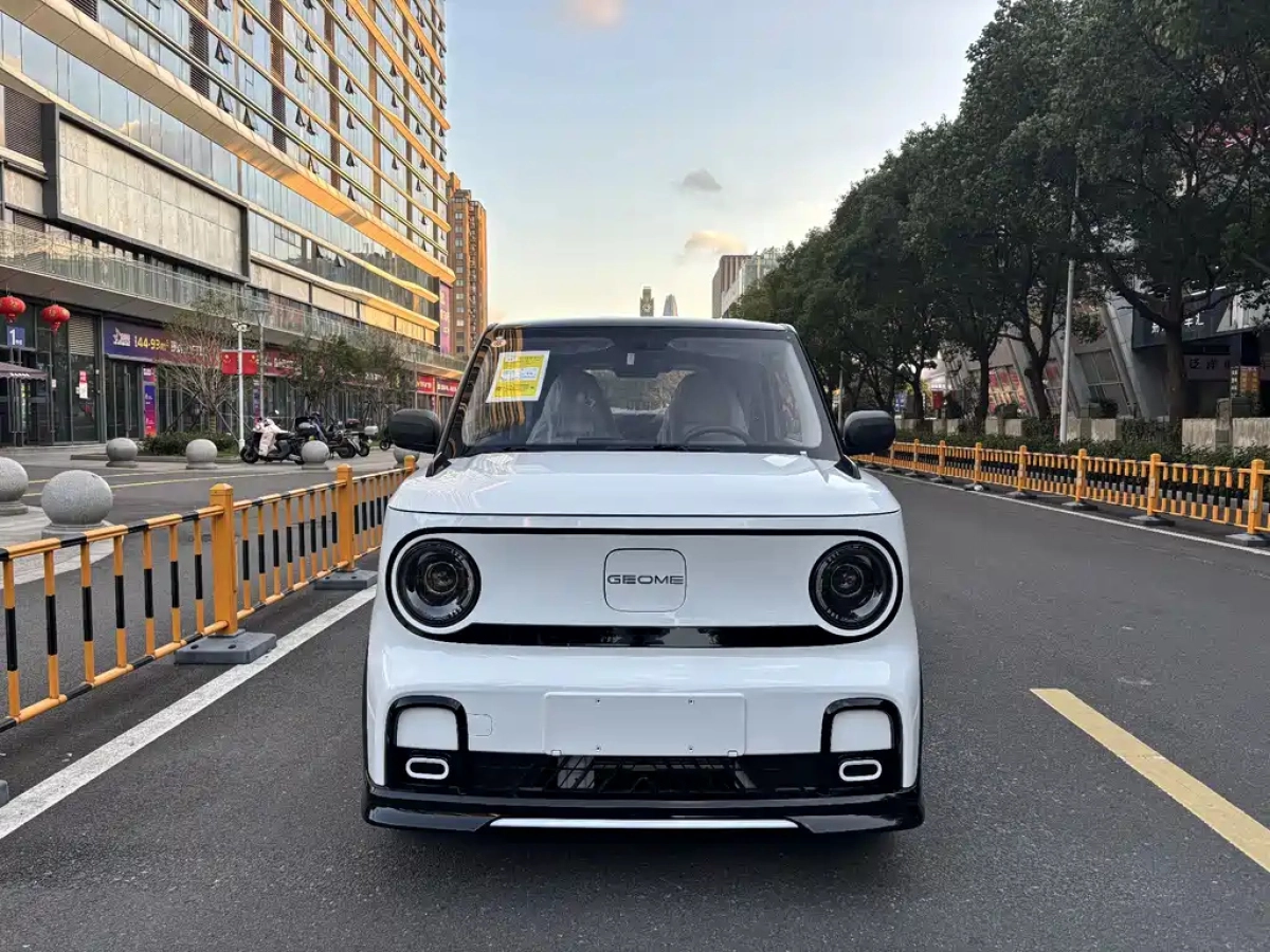 GEELY AUTO PANDA
