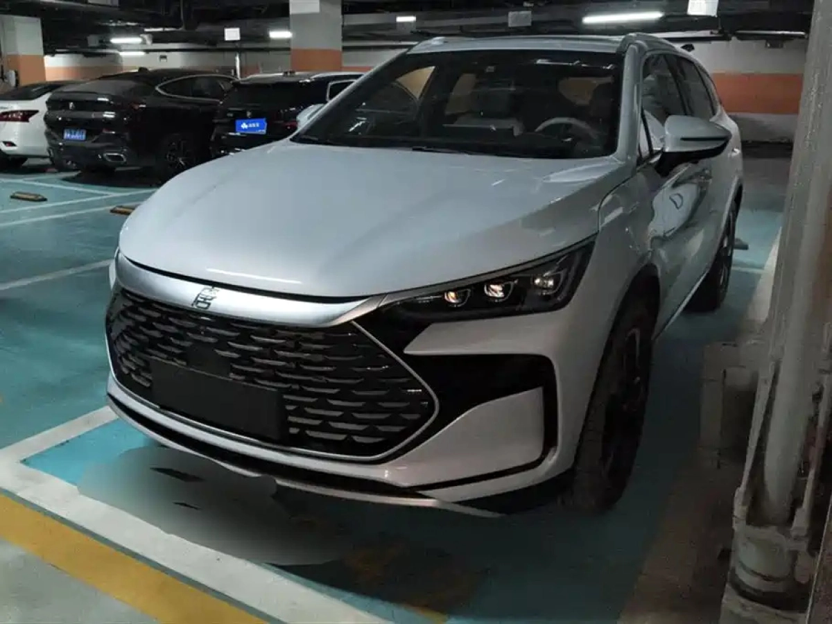 BYD TANG NEW ENERGY  2024