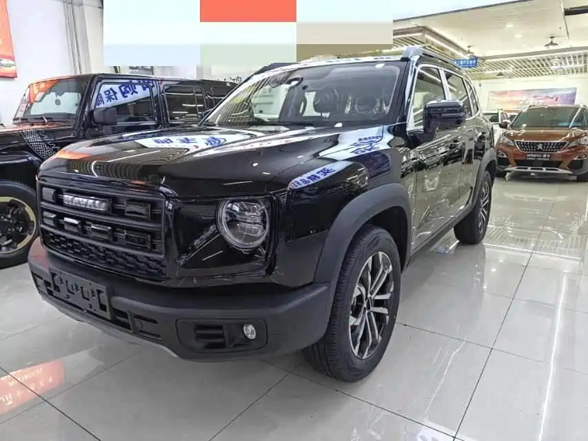 HAVAL BIG DOG