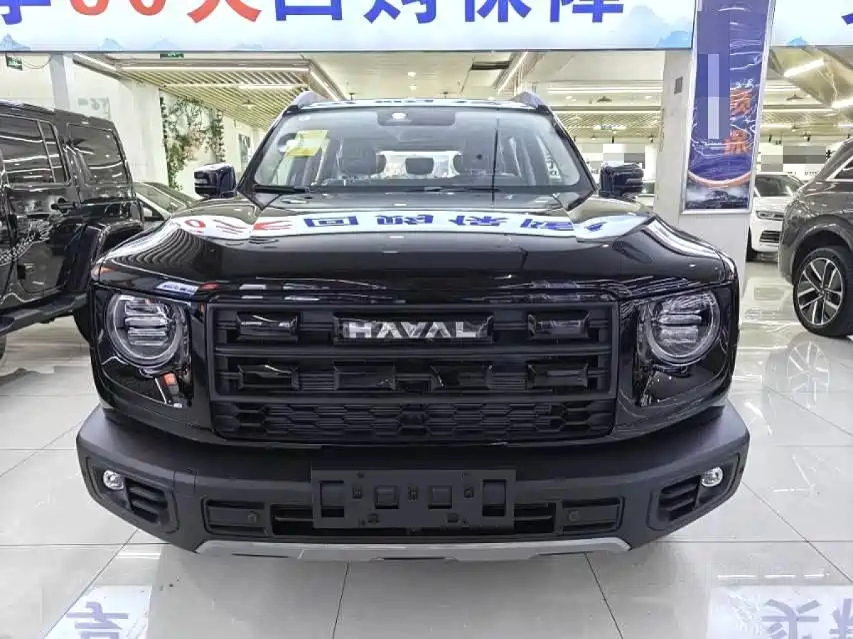 HAVAL BIG DOG