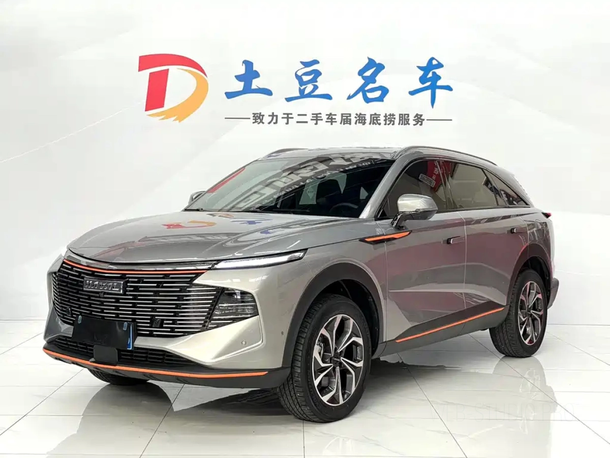 HAVAL SHENSHOU  2022