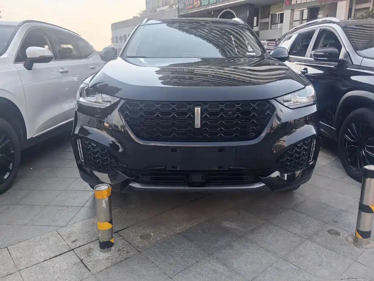 WEY VV6