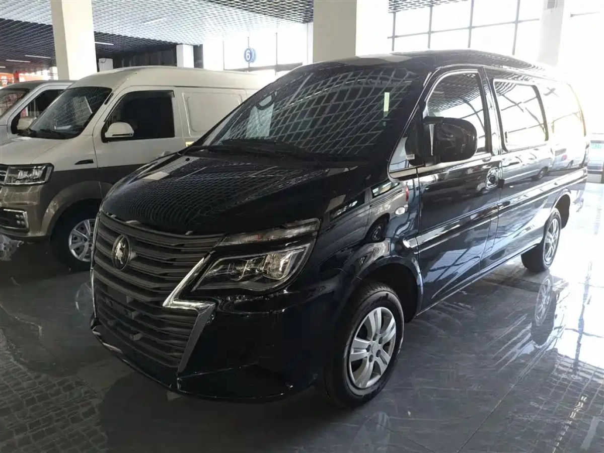 DONGFENG LINGZHI