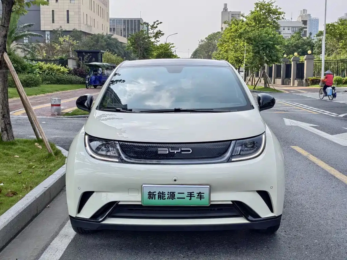 BYD DOLPHIN