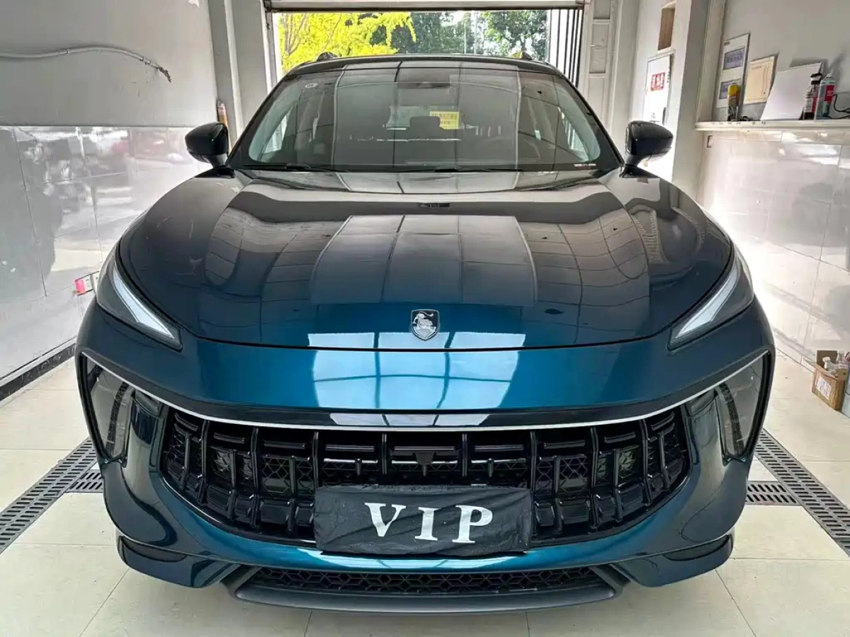 DONGFENG FORTHING T5 EVO  2024