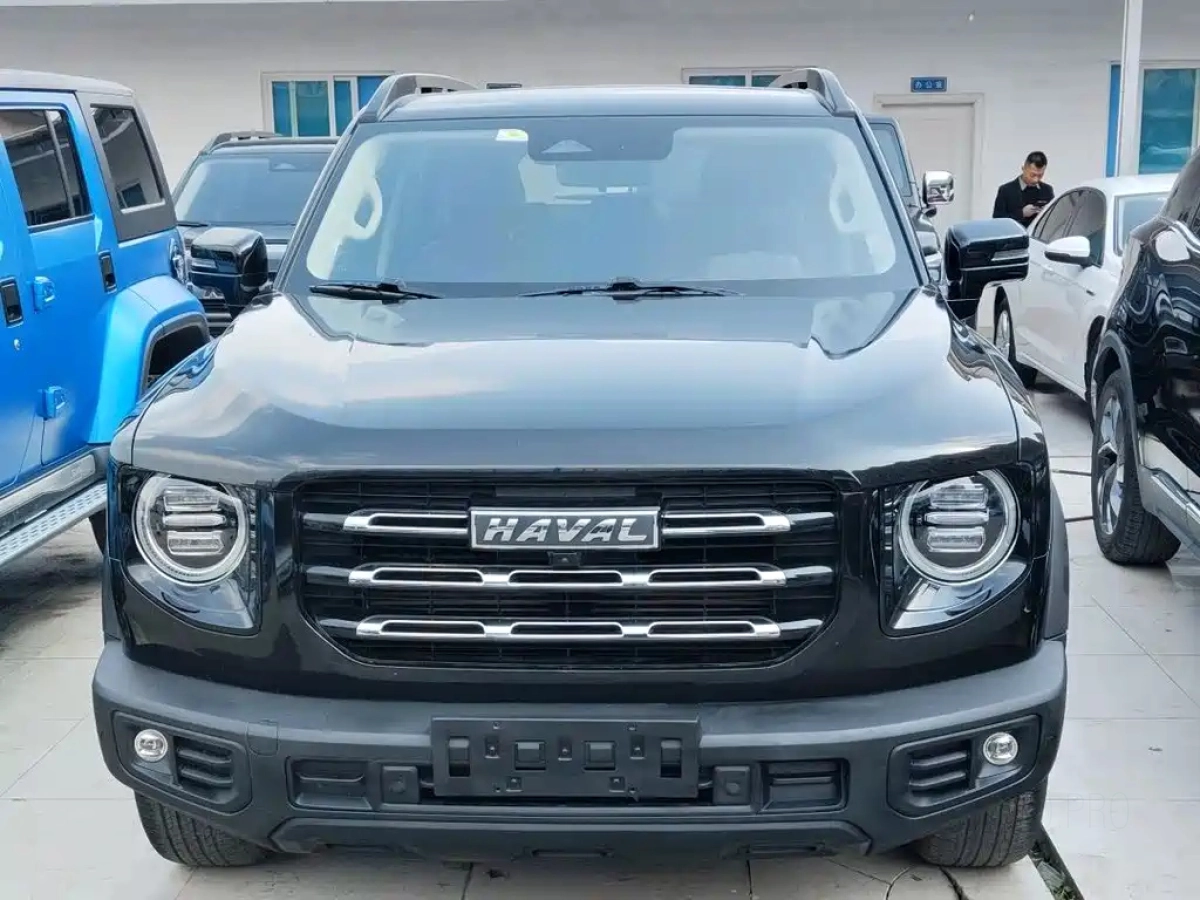 HAVAL BIG DOG