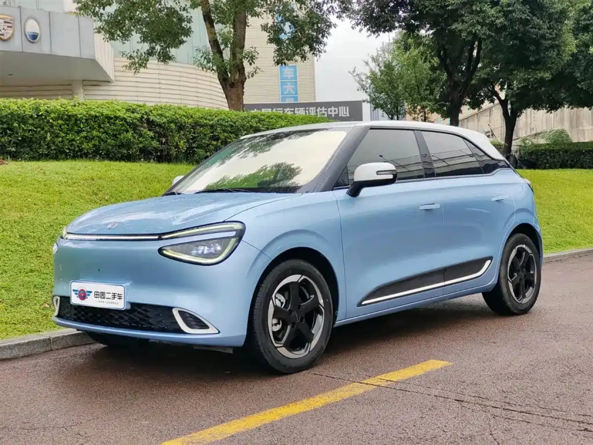DONGFENG NANO 01  2024