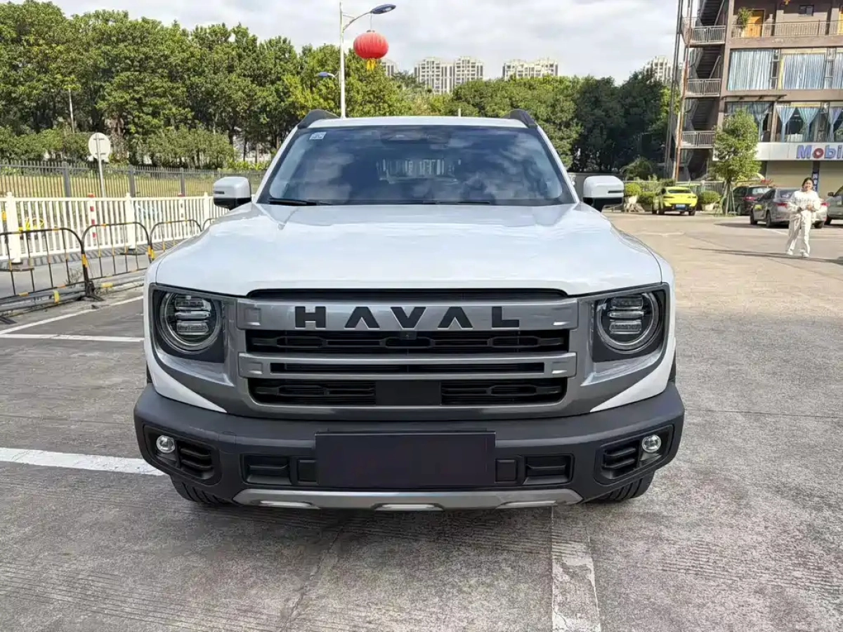 HAVAL BIG DOG
