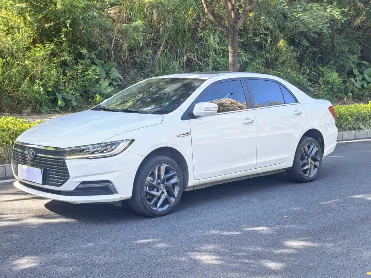 BYD QIN NEW ENERGY  2020