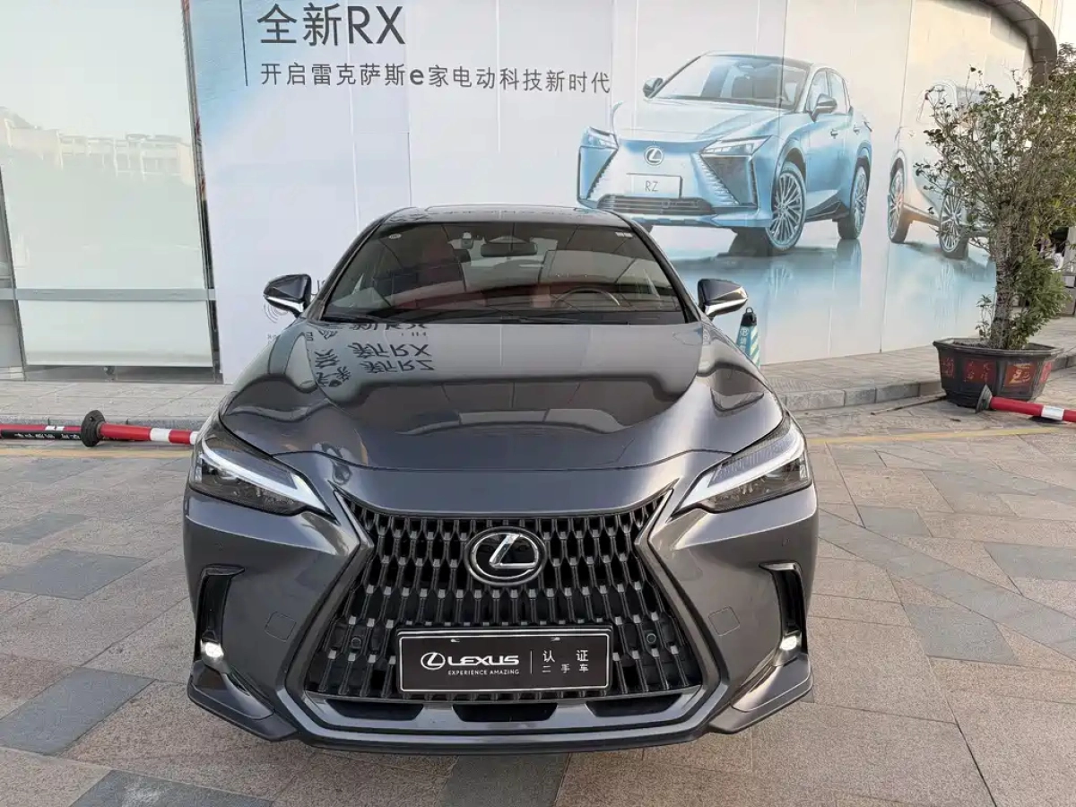 LEXUS NX NEW ENERGY