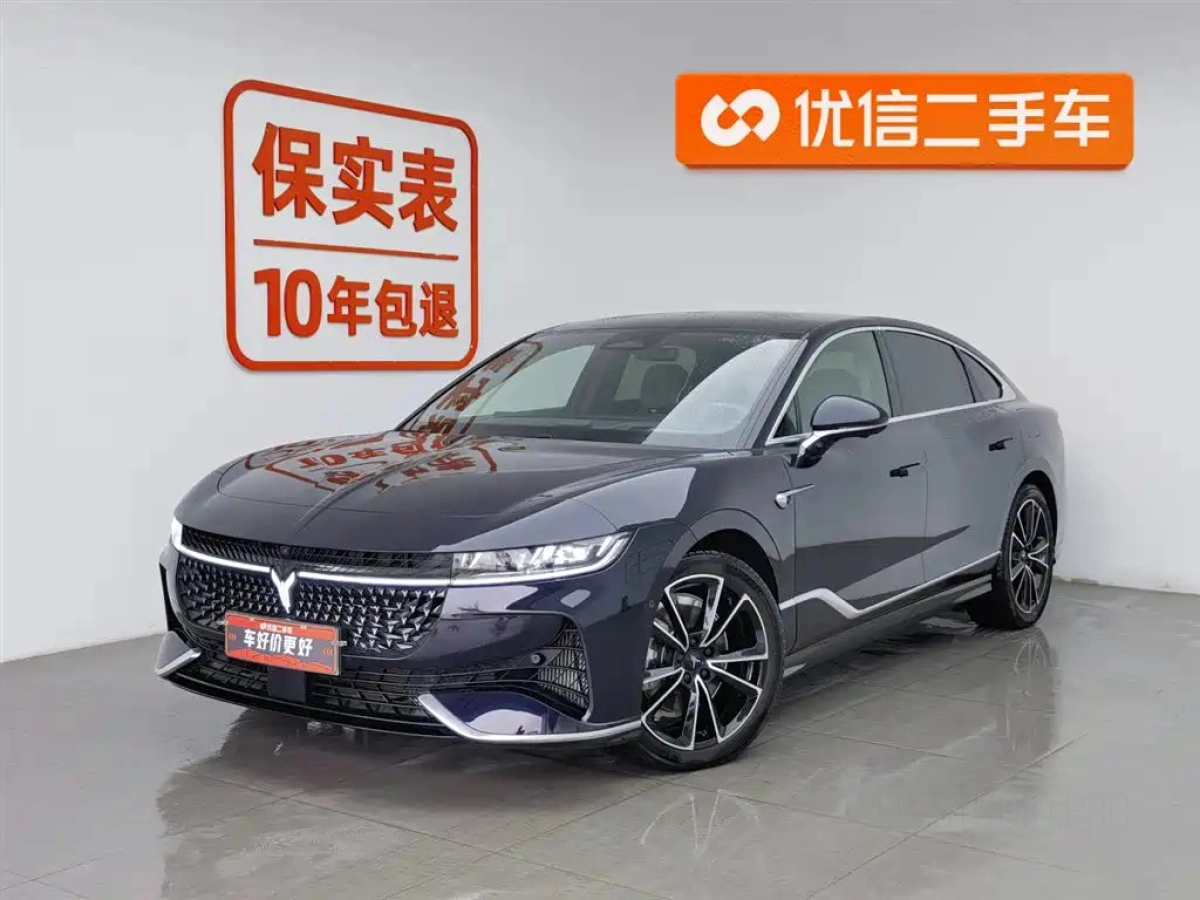 VOYAH ZHUIGUANG  2024