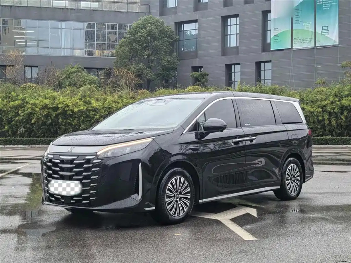 BYD XIA  2025