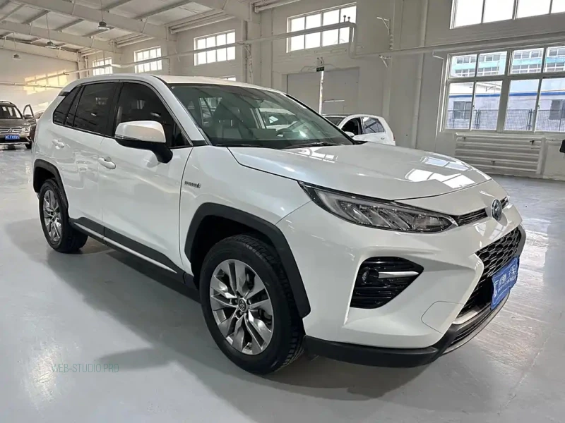 TOYOTA WILDLANDER