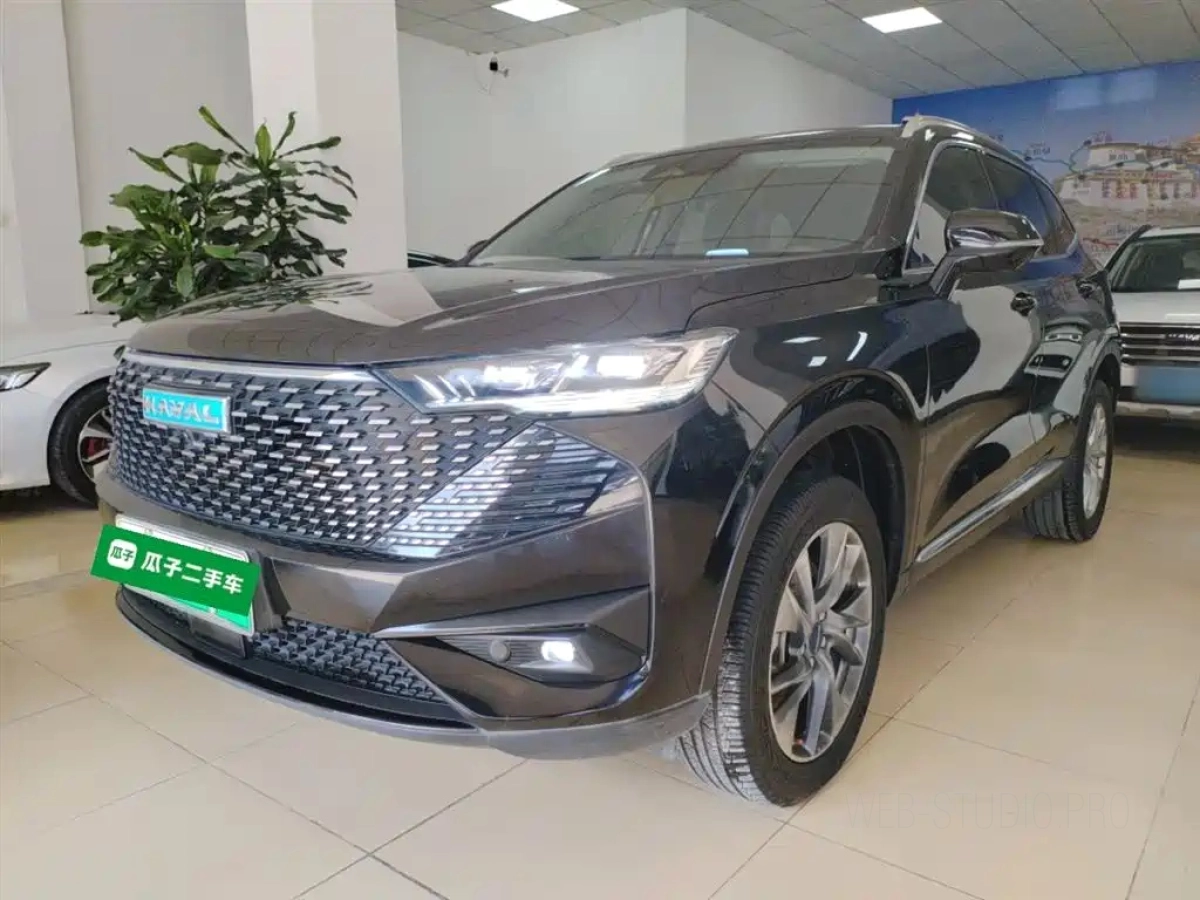 HAVAL H6 NEW ENERGY  2022