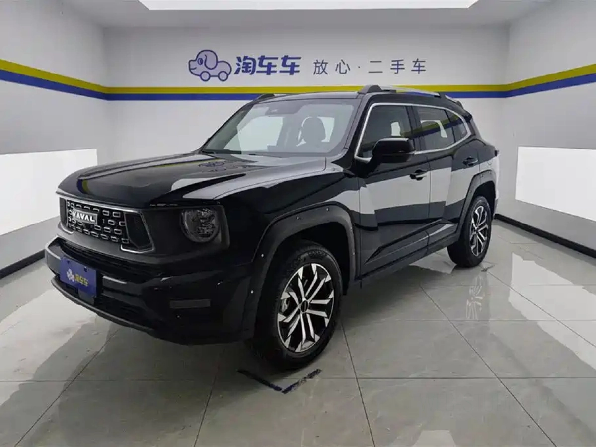 HAVAL BIG DOG II  2023