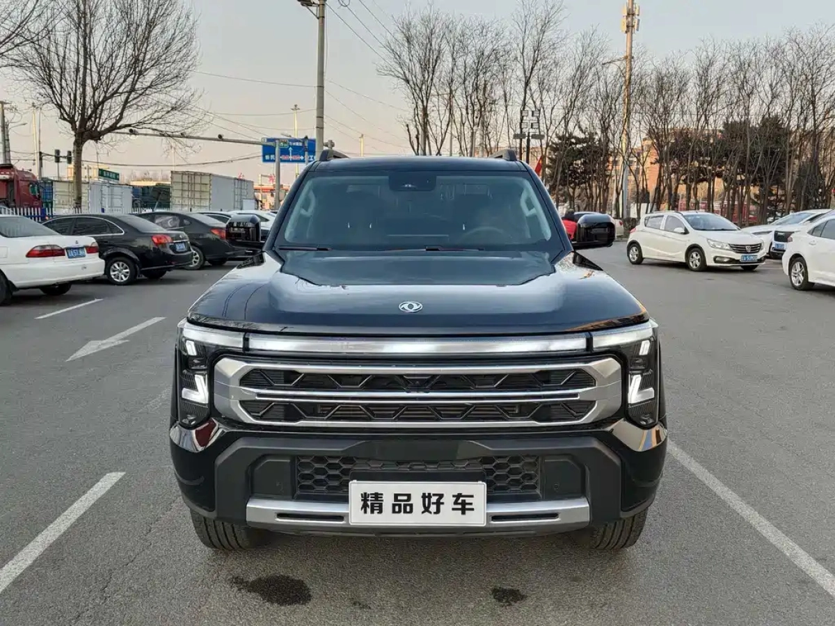 DONGFENG OTHER  2025